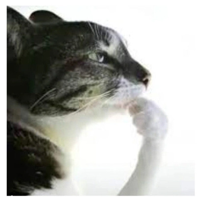 Тимофей 
